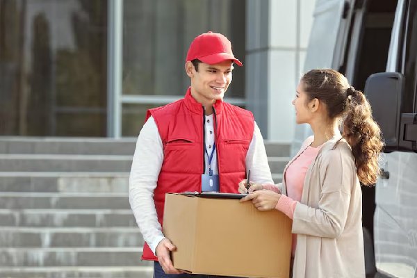 System Testing Courier Software Chennai